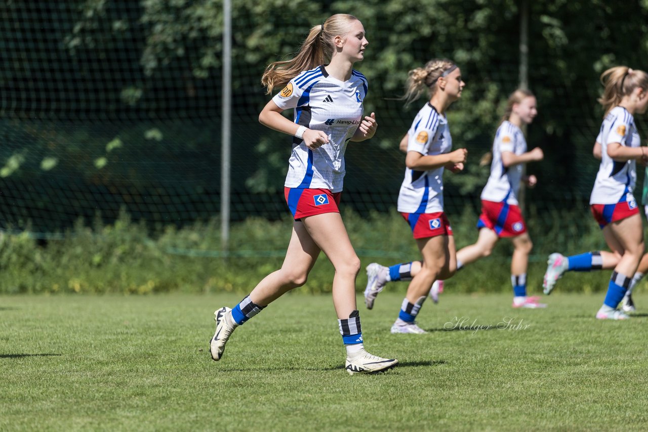 Bild 172 - wBJ Hamburger SV - VfL Wolfsburg : Ergebnis: 5:1